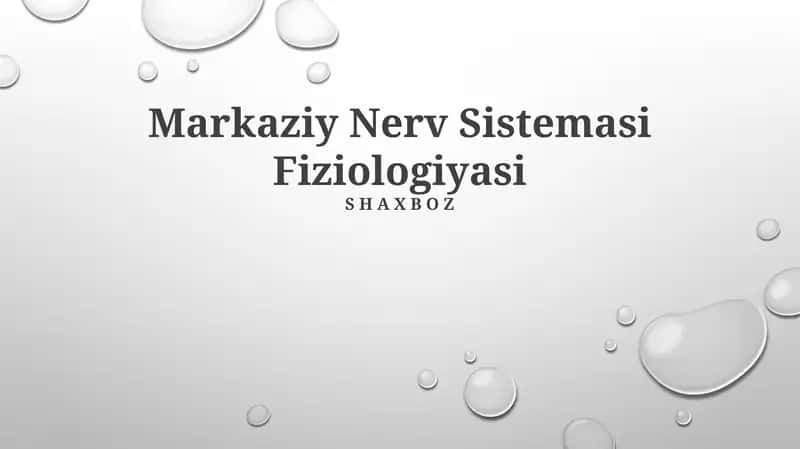 Markaziy Nerv Sistemasi Fiziologiyasi