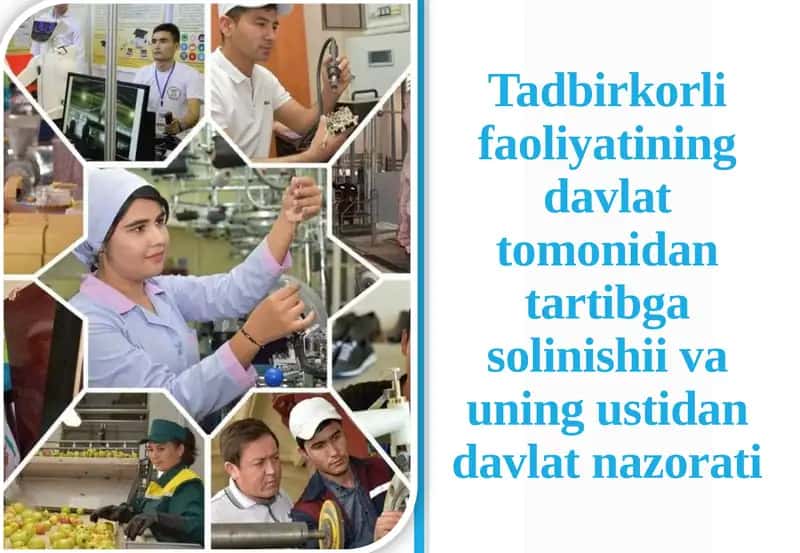 Tadbirkorlik faoliyati davlat tomonidan tartibga solinishi va uning ustidan davlat nazorati
