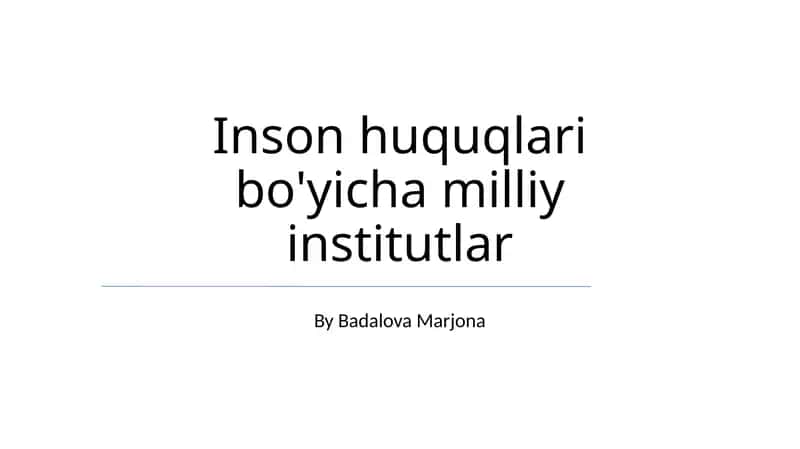 Inson Huquqlari Bo'yicha Milliy Institutlar