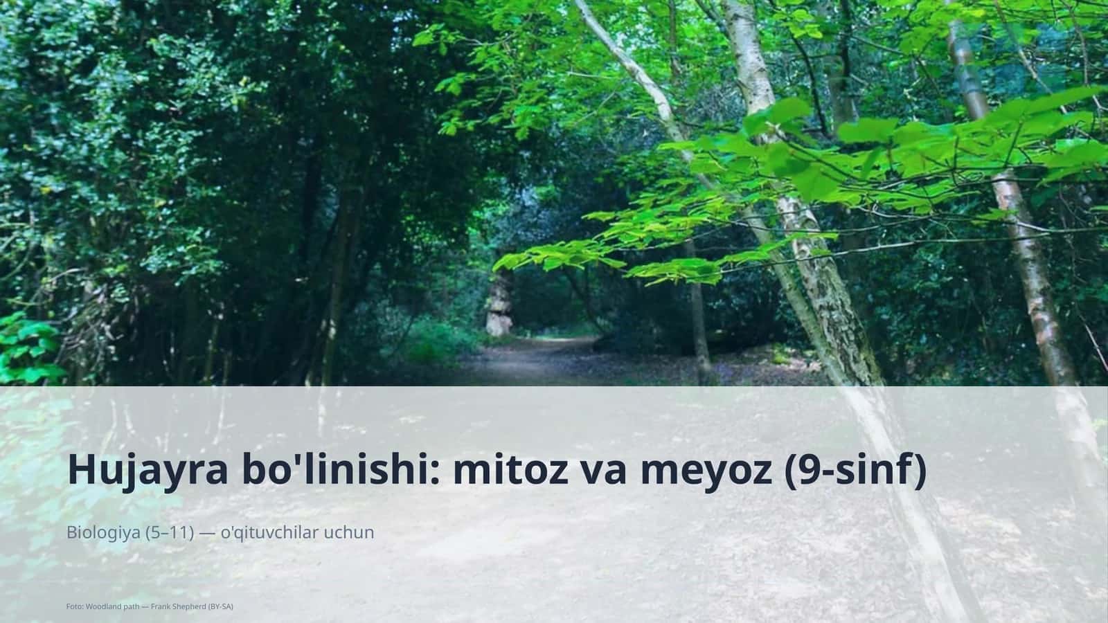 Hujayra bo'linishi: mitoz va meyoz (9-sinf)
