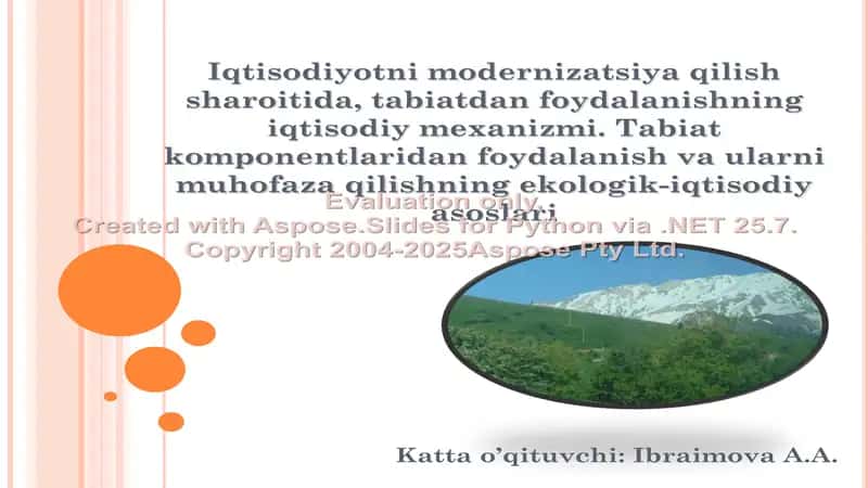Iqtisodiyotni modernizatsiya qilish sharoitida, tabiatdan foydalanishning iqtisodiy mexanizmi. Tabiat komponentlaridan foydalanish va ularni muhofaza qilishning ekologik-iqtisodiy asoslari