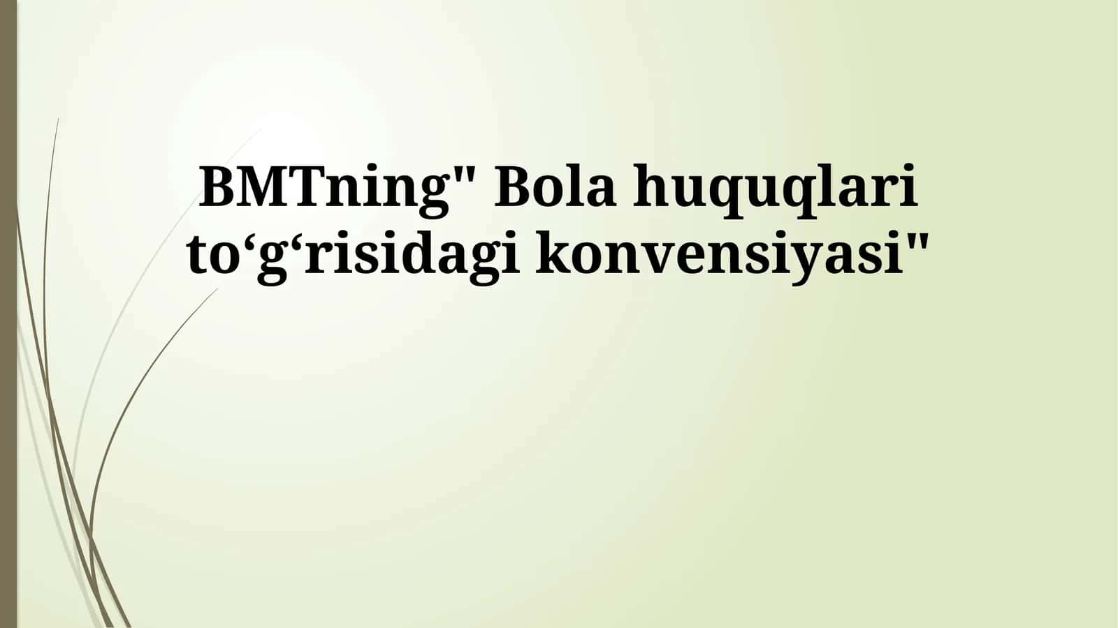 Bolalar Huquqlari Konvensiyasi