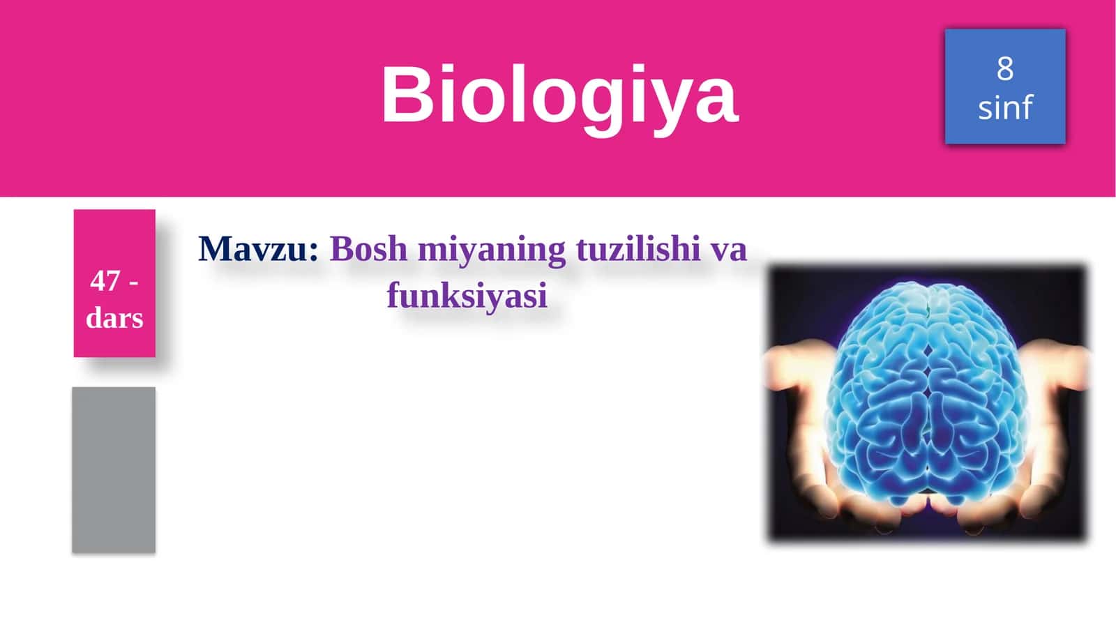Boshmiyaningtuzilishivafunksiyasi