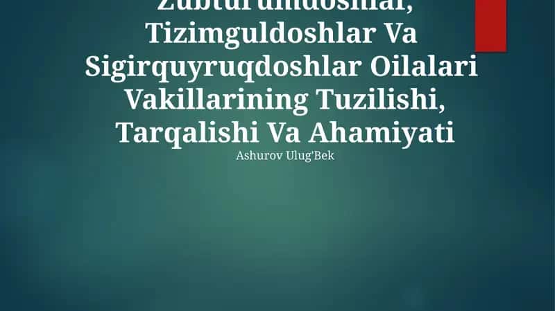 Zubturumdoshlar, Tizimguldoshlar Va Sigirquyruqdoshlar Oilalari Vakillarining Tuzilishi, Tarqalishi Va Ahamiyati