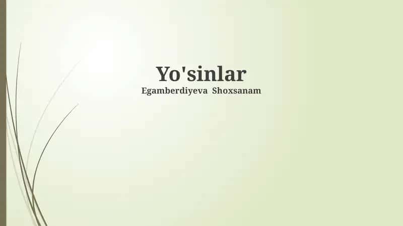Yo'sinlar