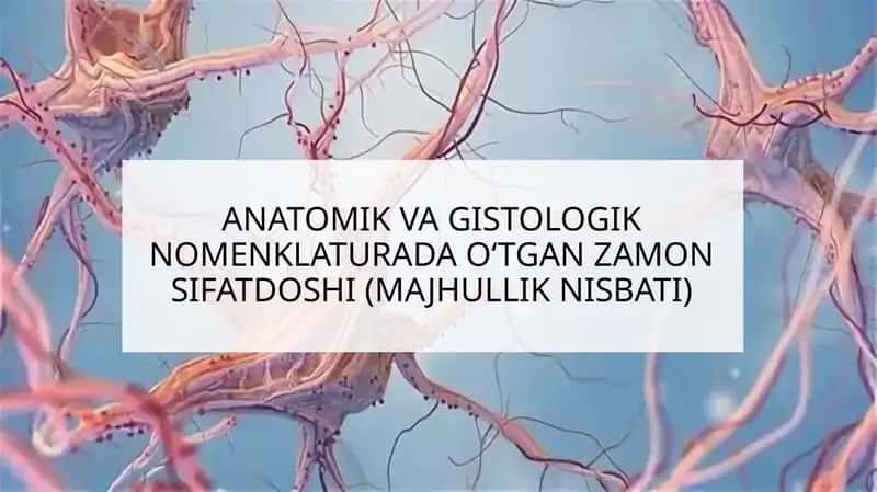 ANATOMIK VA GISTOLOGIK NOMENKLATURA
