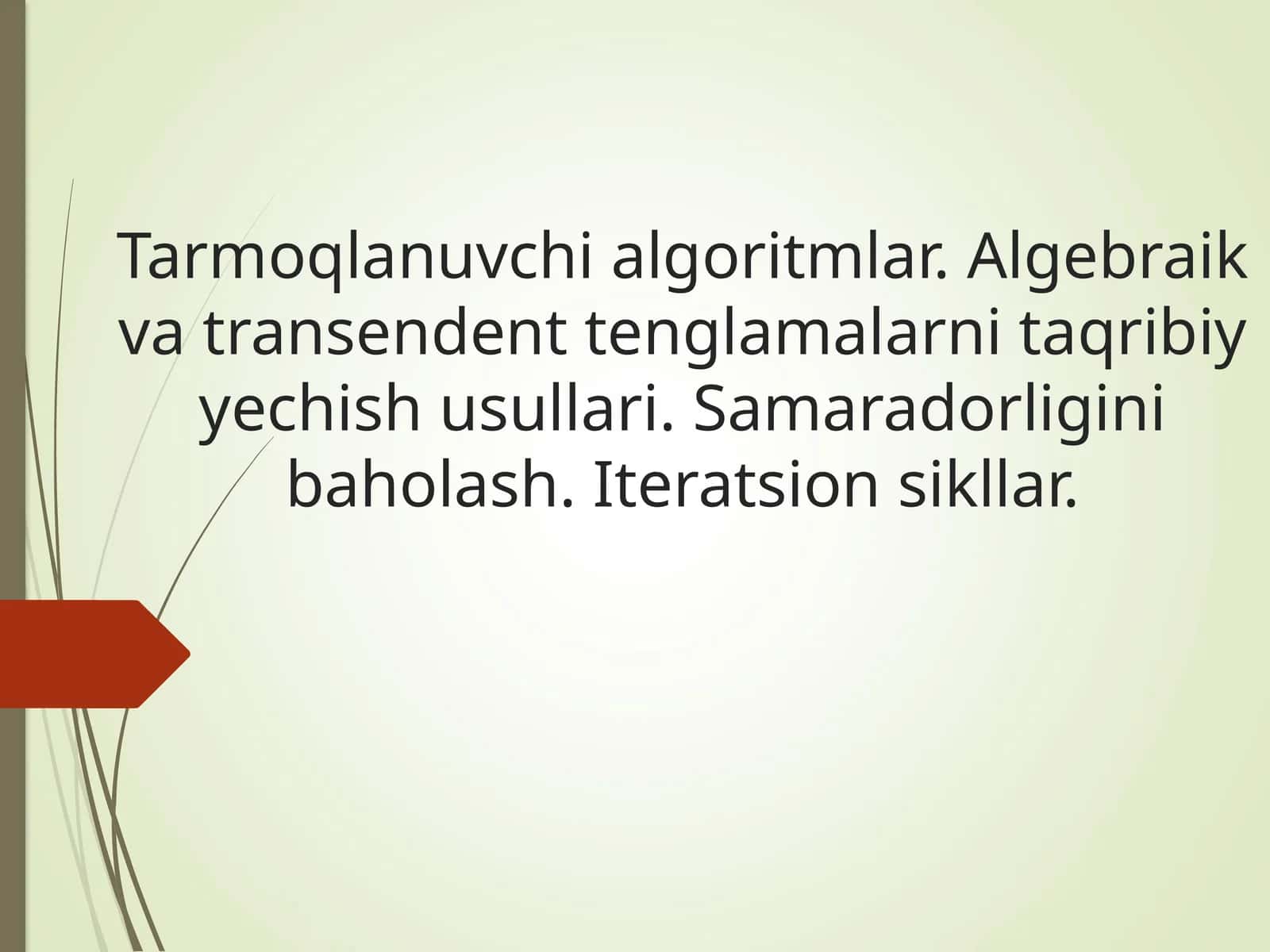 Tarmoqlanuvchi algoritmlar. Algebraik va transendent tenglamalarni taqribiy yechish usullari. Samaradorligini baholash. Iteratsion sikllar.