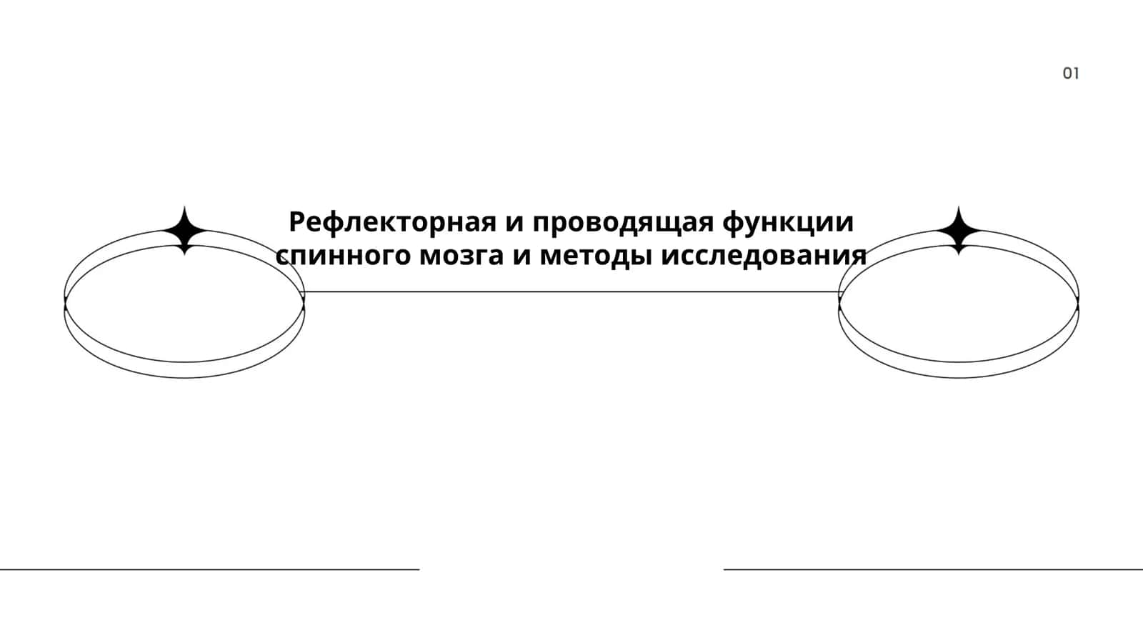 Рефлекторная и проводящая функции спинного мозга и методы исследования