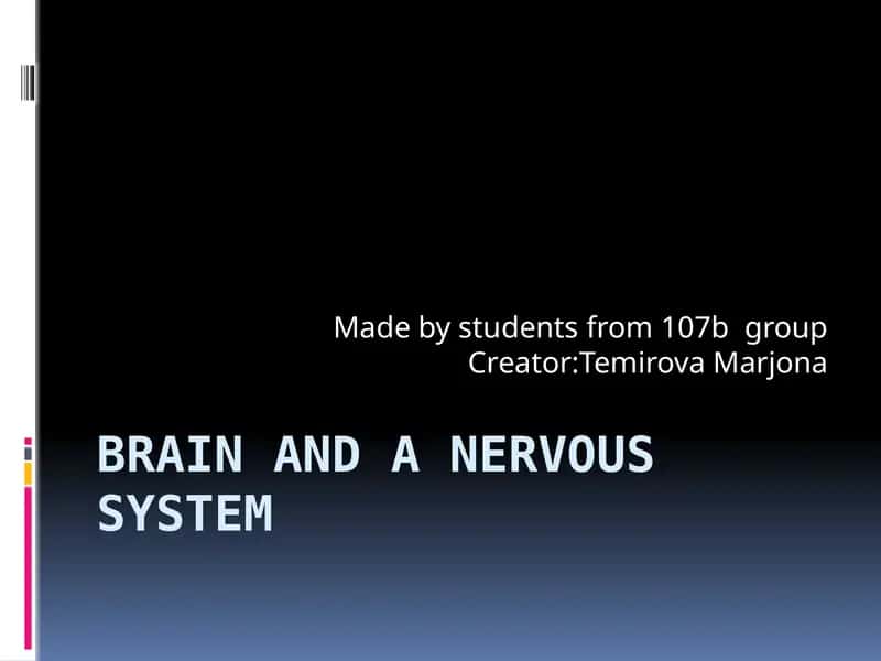 The Human Brain