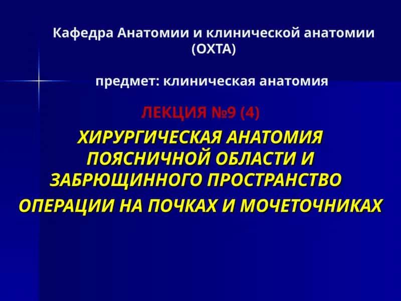 Лекция №9 (4) Хирургическая анатомия