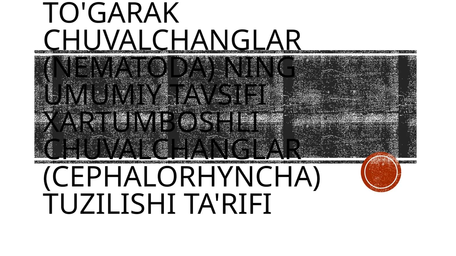 To'garak chuvalchanglar (Nematoda) ning umumiy tavsifi Xartumboshli chuvalchanglar (Cephalorhyncha) tuzilishi ta'rifi
