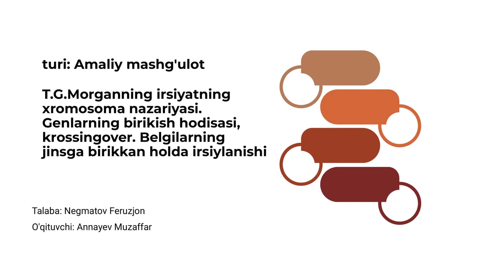 T.G.Morganning irsiyatning xromosoma nazariyasi