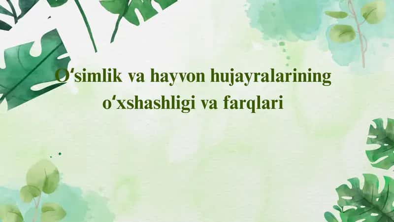 Oʻsimlik va hayvon hujayralarining oʻxshashligi va farqlari.