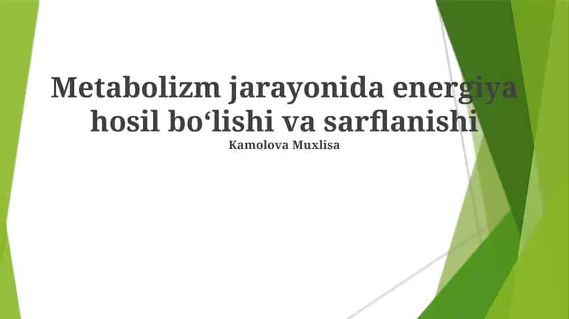 Metabolizm jarayonida energiya hosil boʻlishi va sarflanishi
