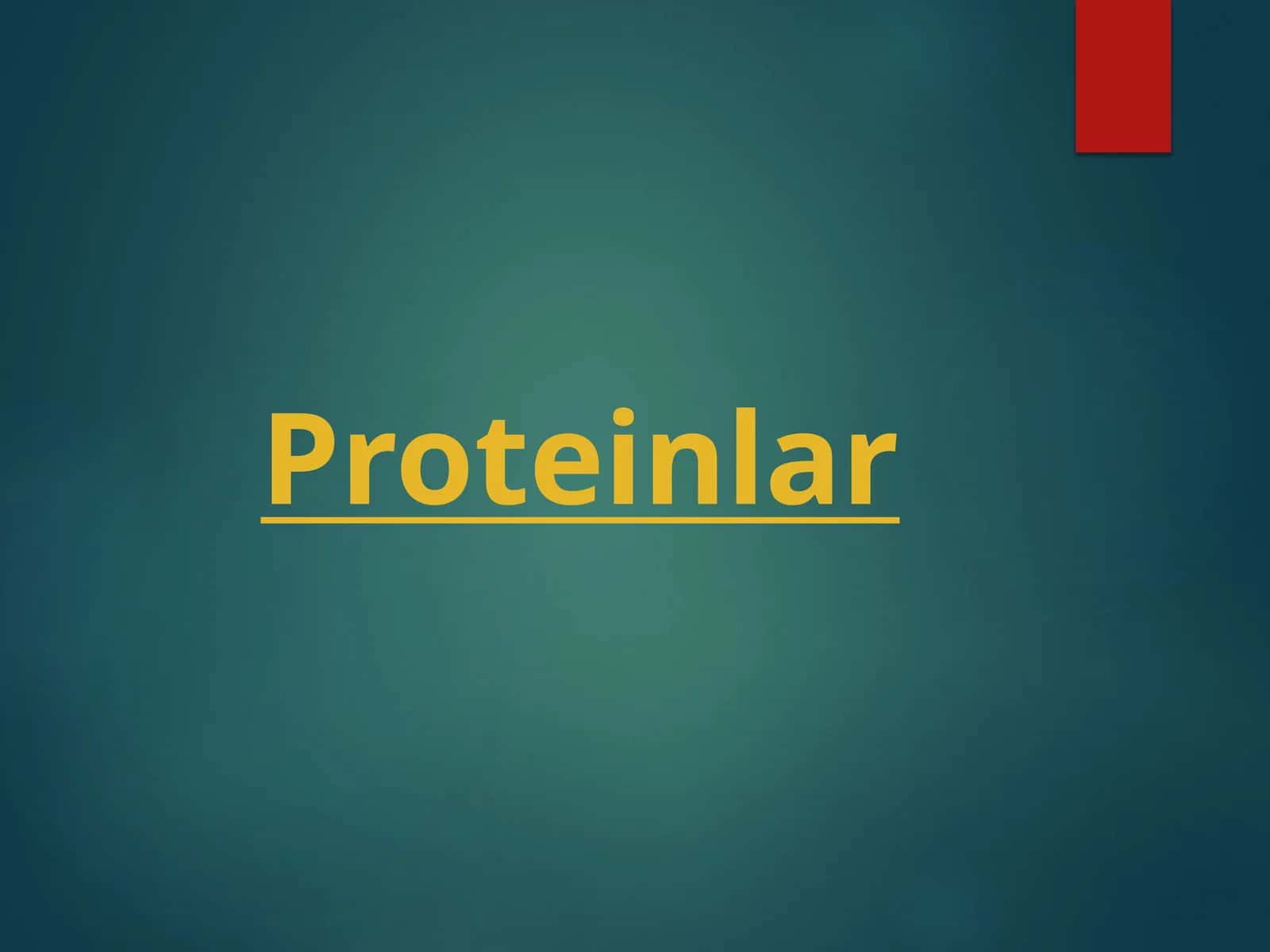 Proteinlar