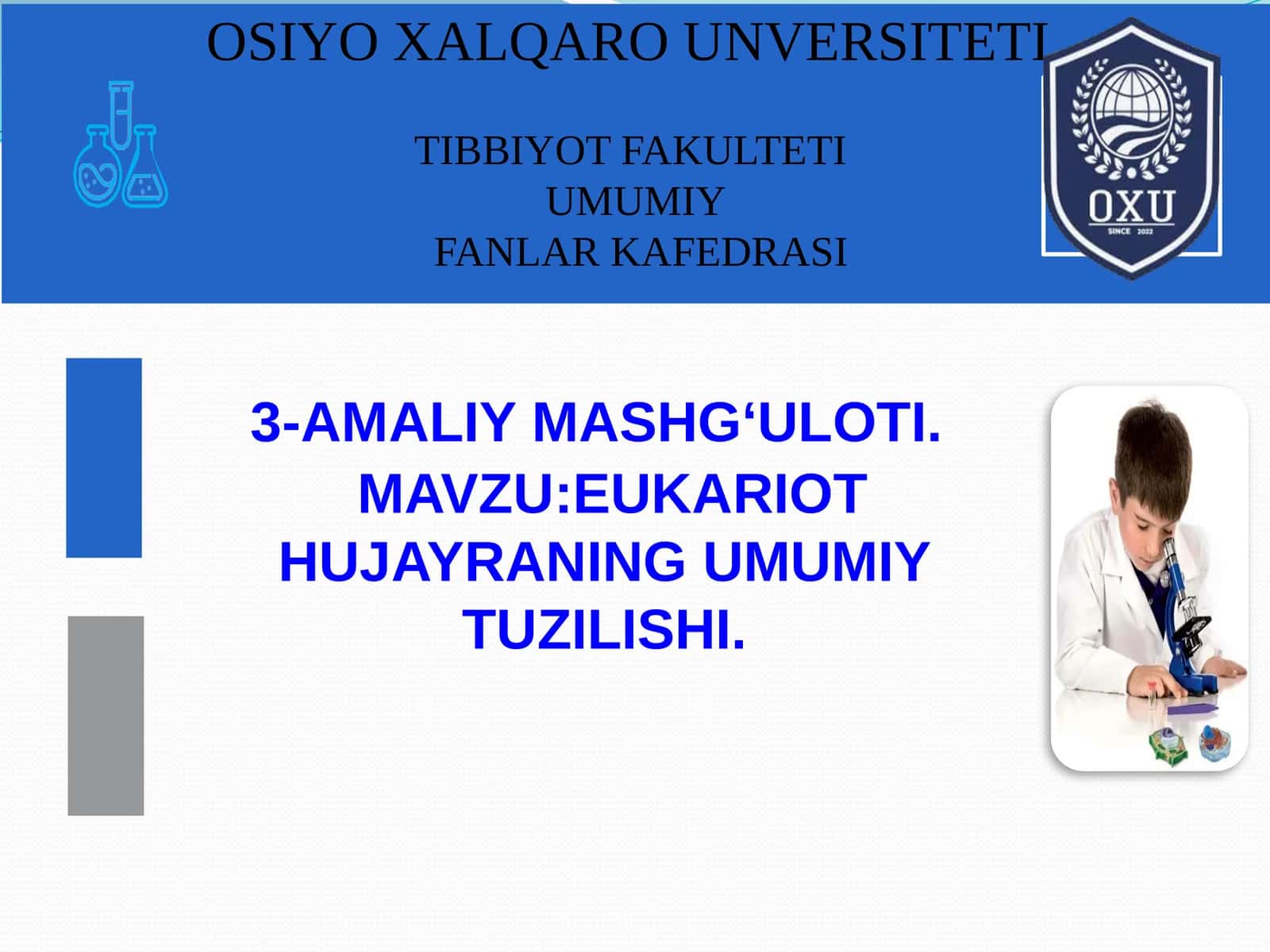 Eukariot Hujayraning Umumiy Tuzilishi