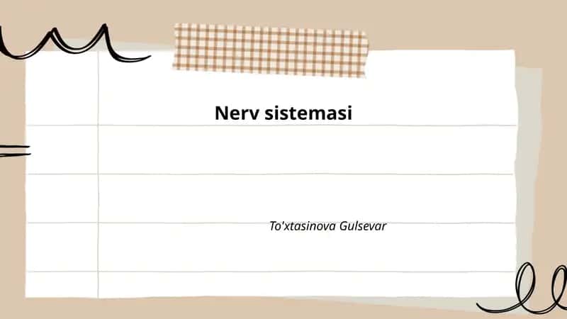 Nerv sistemasi