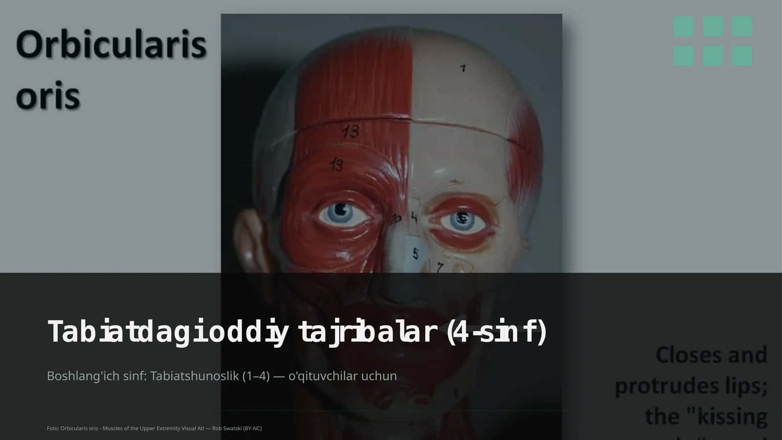 Tabiatdagi oddiy tajribalar (4-sinf)