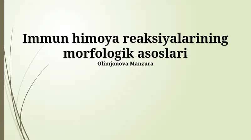 Limfoid to'qimalarning morfologiyasi