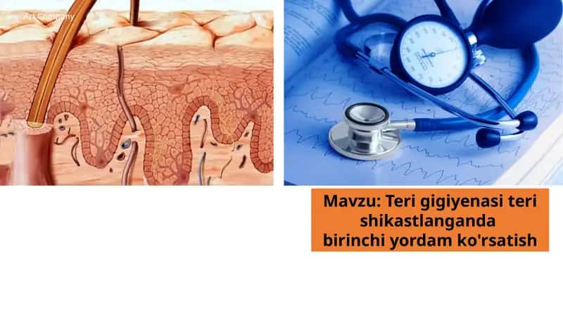 Terigigiyenasiterishikastlanganda birinchi yordam ko'rsatish