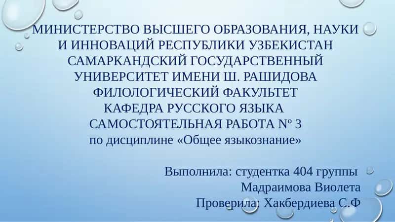 САМОСТОЯТЕЛЬНАЯ РАБОТА Nº 3 по дисциплине «Общее языкознание»