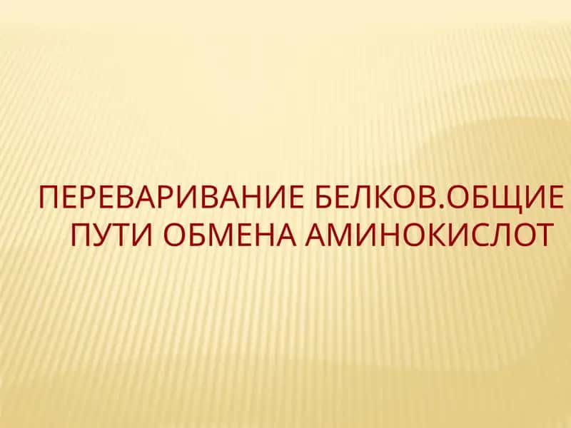 Переваривание белков. Общие пути обмена аминокислот