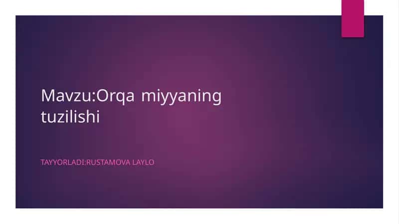 Orqamiyyaning tuzilishi