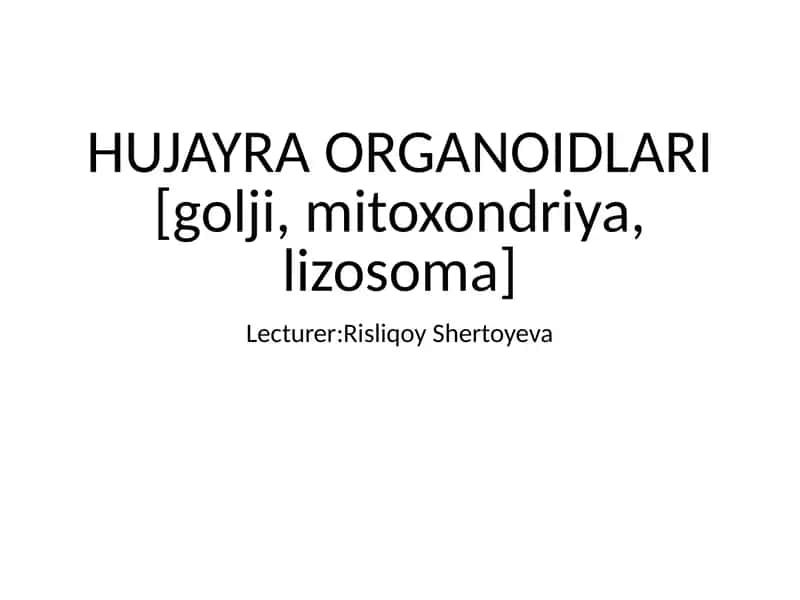 HUJAYRA ORGANOIDLARI