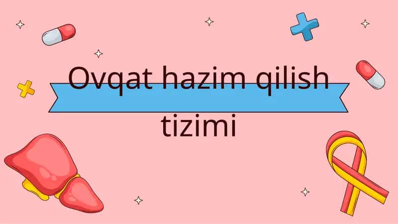 Ovqat hazim qilish tizimi