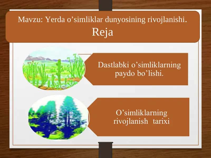 Yerda o’simliklar dunyosining rivojlanishi