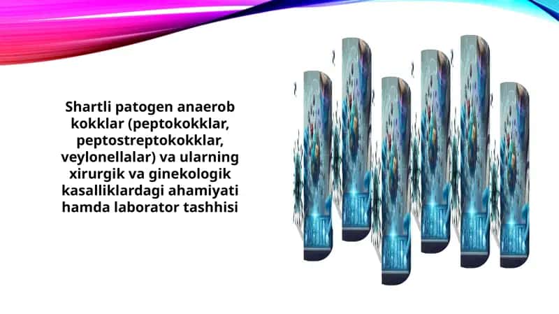 Shartli patogen anaerob kokklar va ularning xususiyatlari