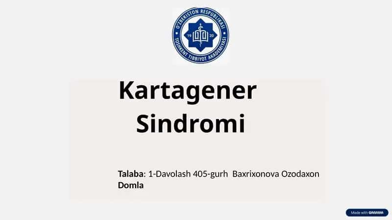Kartagener Sindromi