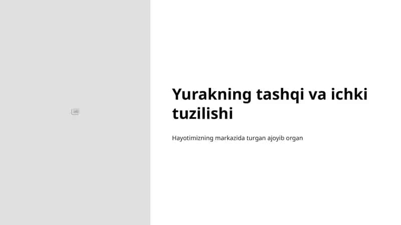 Yurakning tashqi va ichki tuzilishi