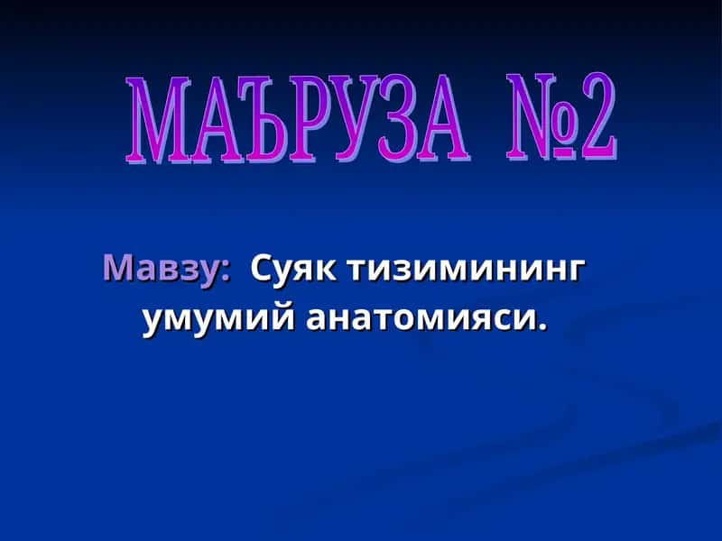 suyak tizimining umumiy anatomiyasi
