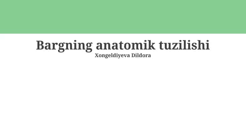 Bargning anatomik tuzilishi