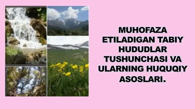 Muhofaza etiladigan tabiy hududlar tushunchasi va ularning huquqiy asoslari.