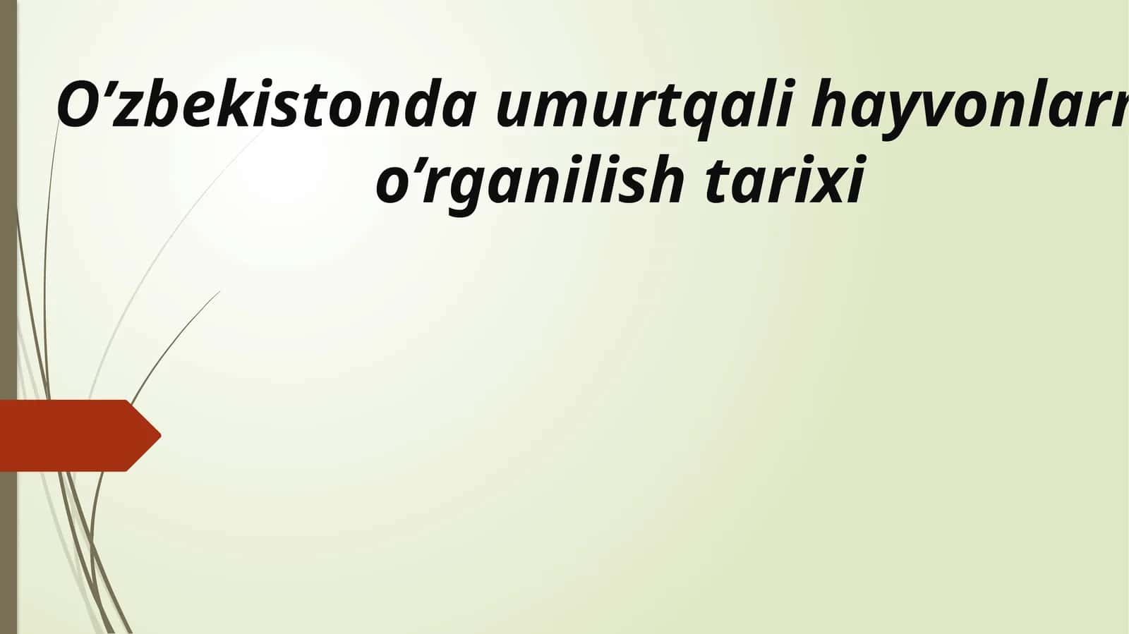 O’zbekistonda umurtqali hayvonlarni o’rganilish tarixi