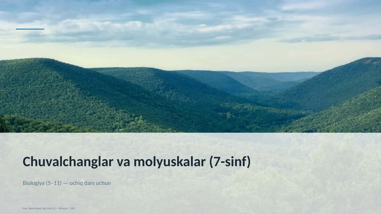 Chuvalchanglar va molyuskalar (7-sinf)