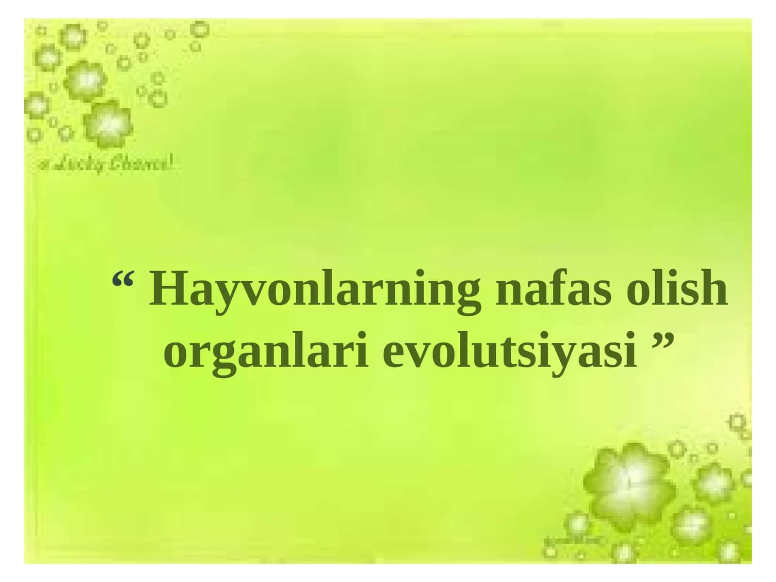 Hayvonlarning nafas olish organlari evolutsiyasi