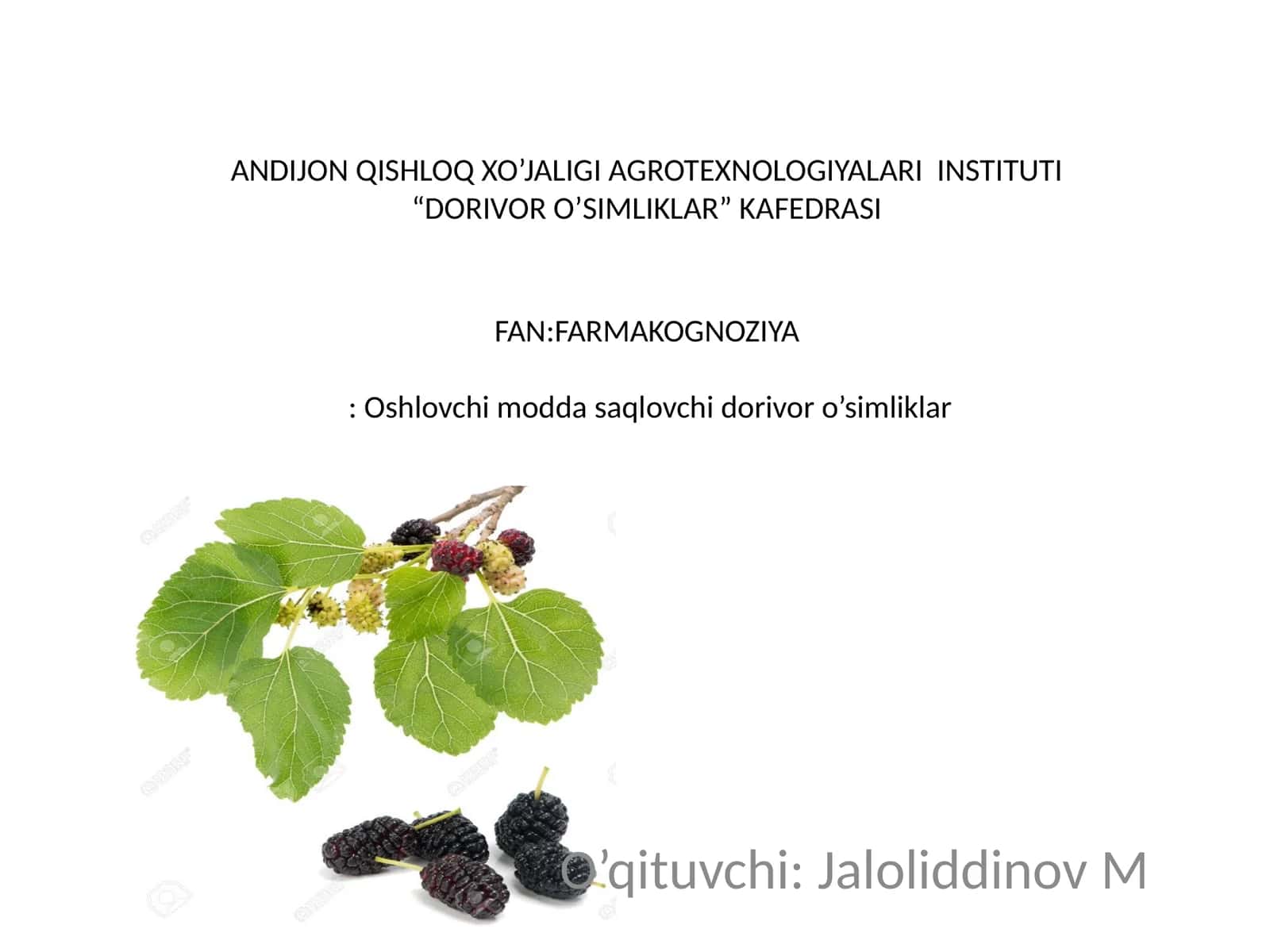 Oshlovchi modda saqlovchi dorivor o’simliklar va mahsulotlar