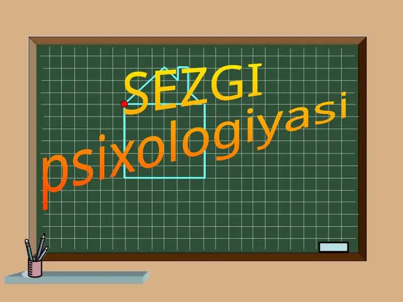 SEZGI
