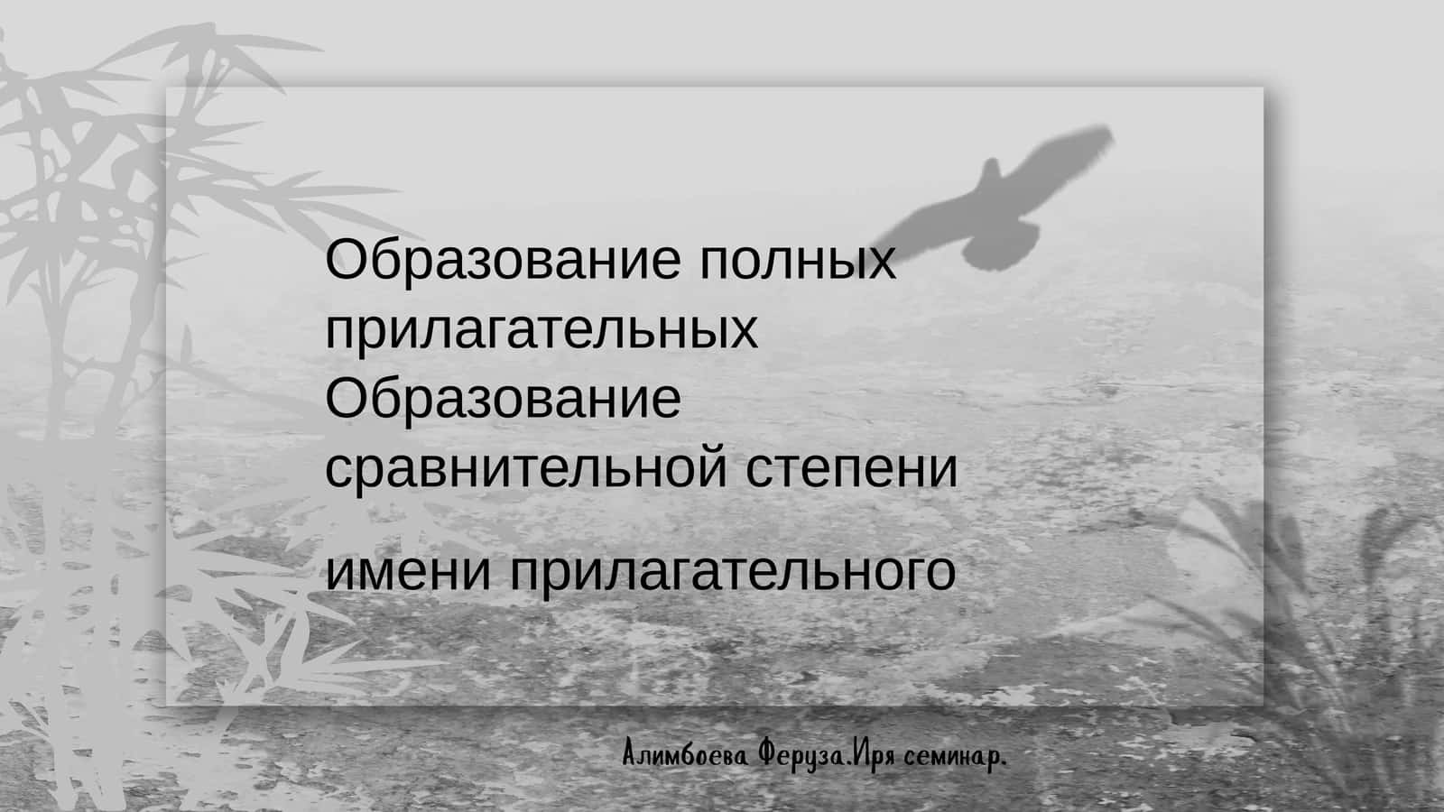 История русского языка