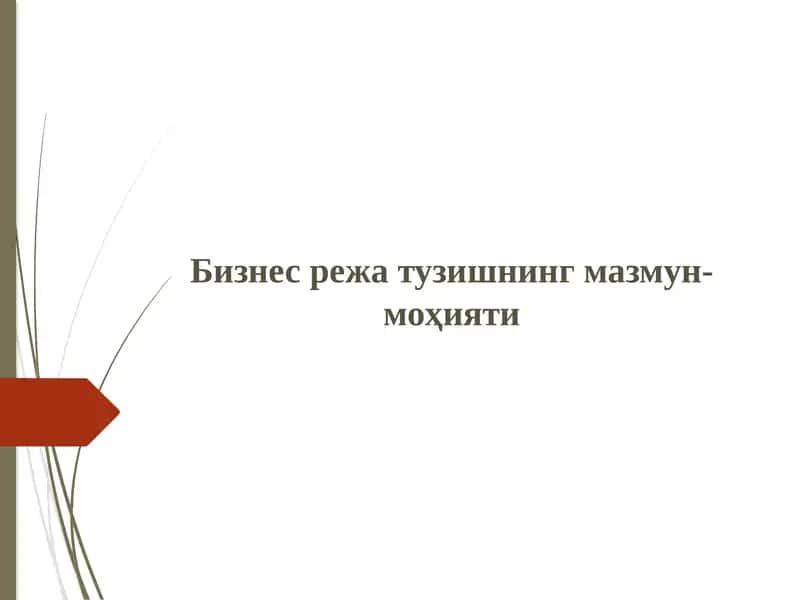 Бизнес-режа, Biznes reja tuzish