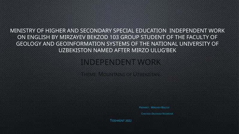Independent Work on English