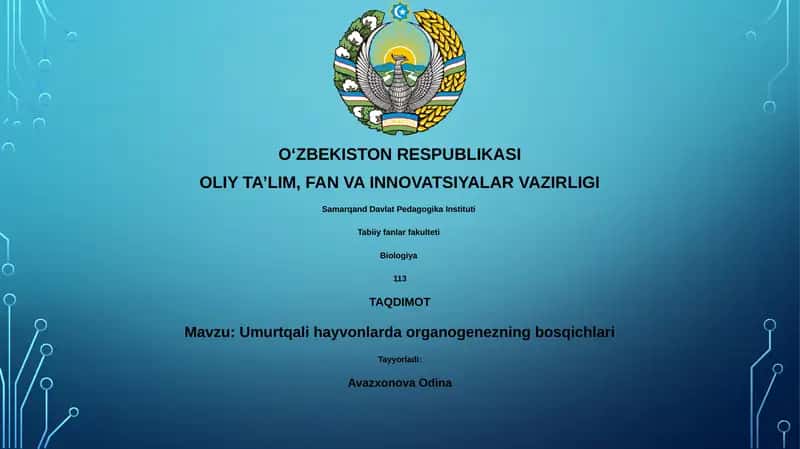 Umurtqali hayvonlarda organogenezning bosqichlari