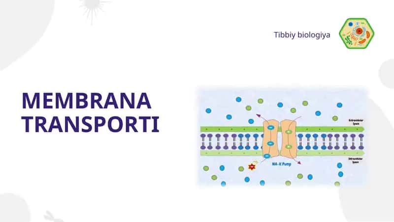 MEMBRANA TRANSPORTI