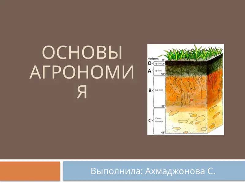 ОсновыАгрономия