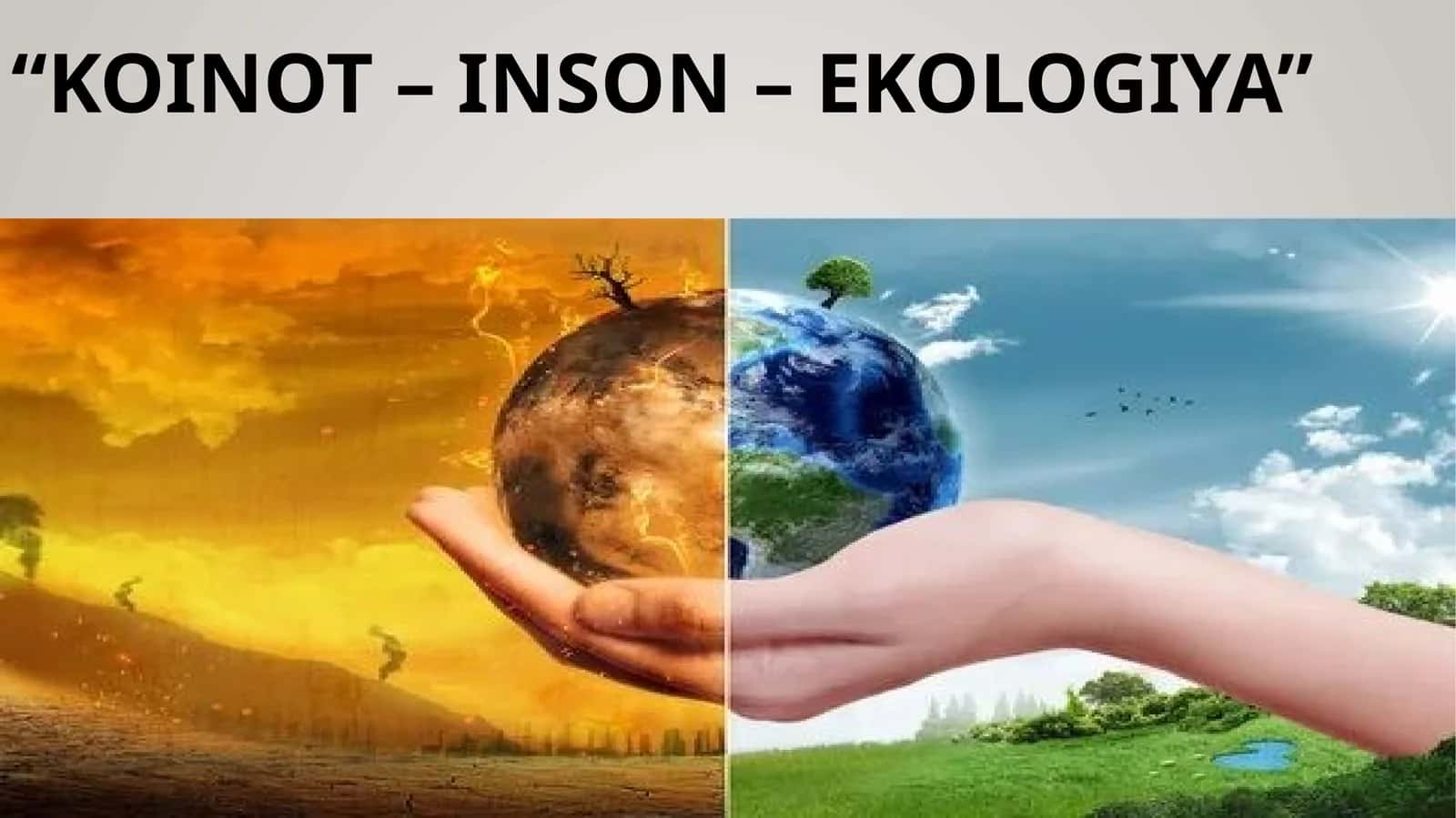 Koinot–Inson–Ekologiya