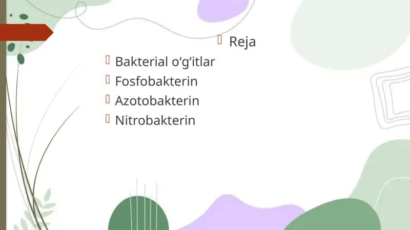 Bakteriologik o‘g‘itlar va ularning qo‘llanilishi