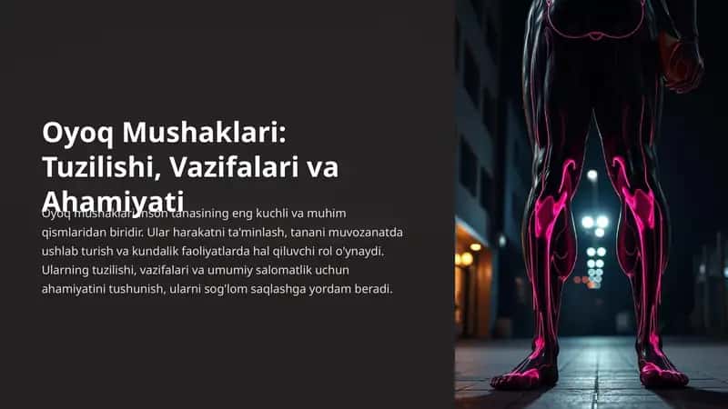 Oyoq mushaklari